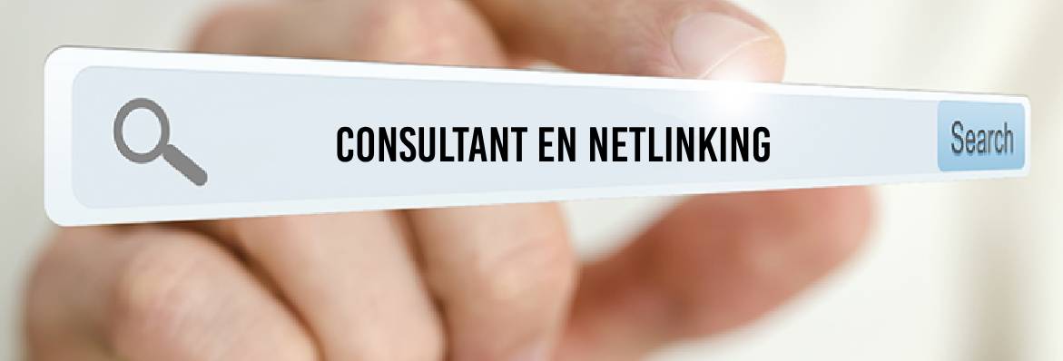 Consultant netlinking