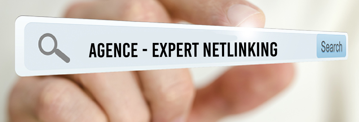 consultant netlinking